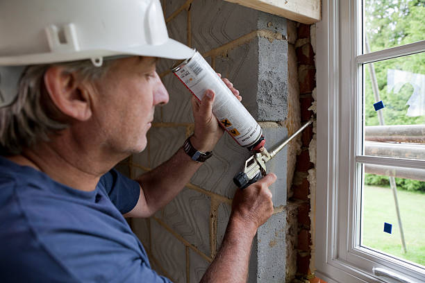 Best Geographic-Specific Insulation Services in Homer, IL