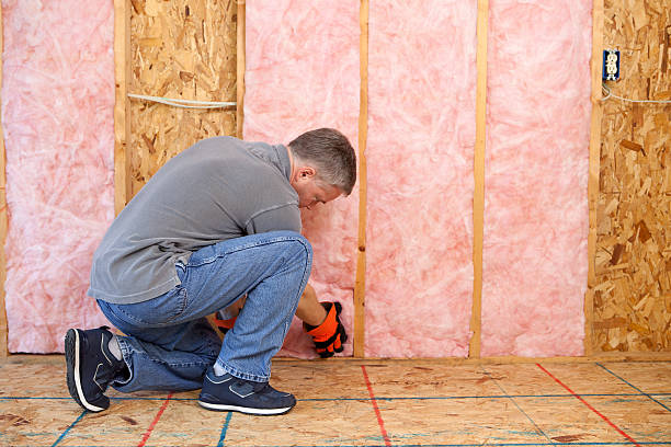 Best Eco-Friendly Insulation in Homer, IL