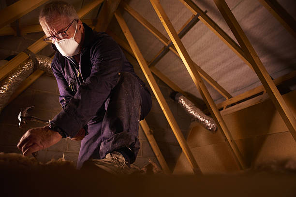 Trusted Homer, IL Insulation Contractor Experts