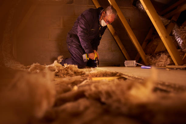 Best Specialized Insulation Services in Homer, IL